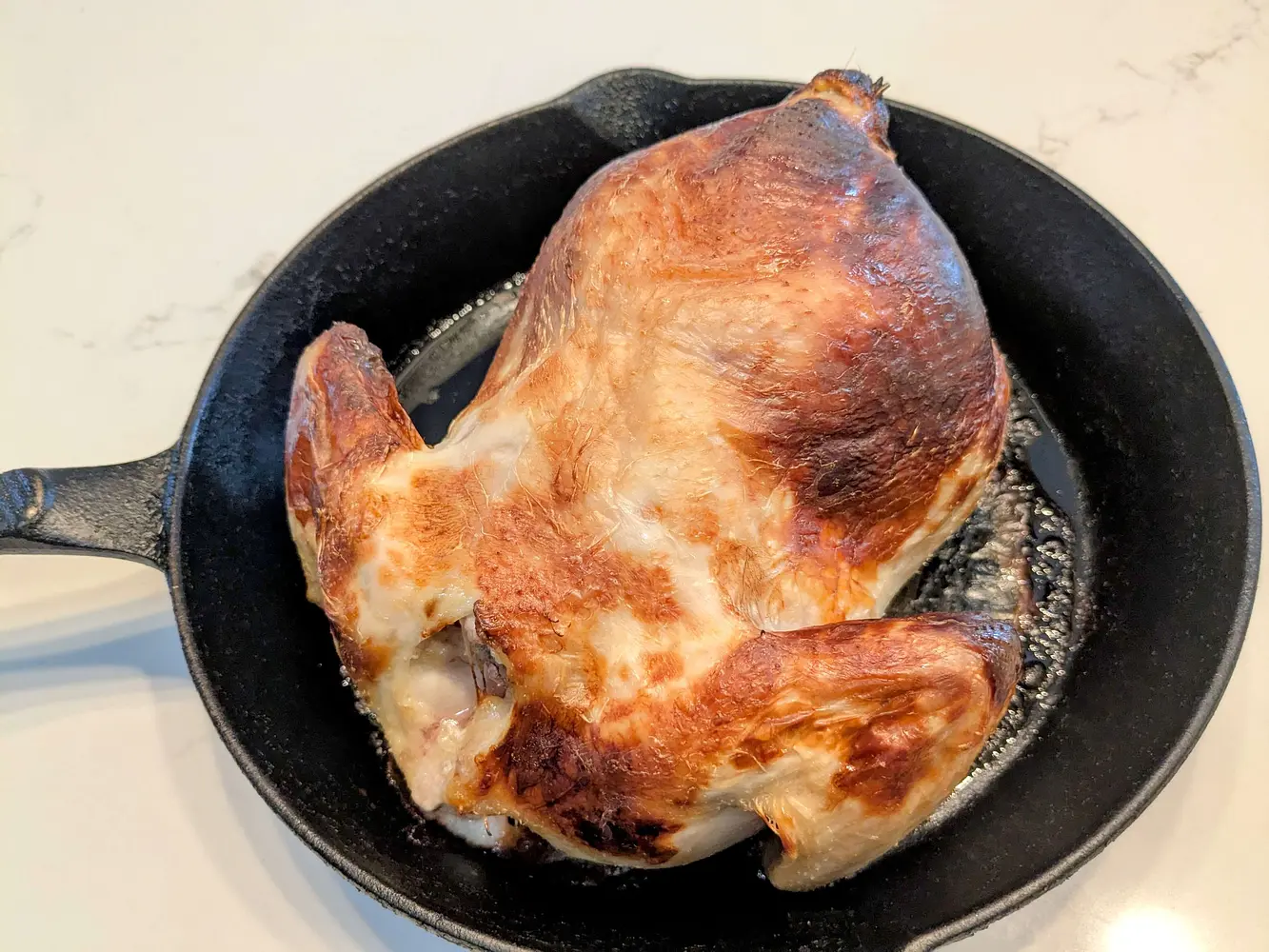 Roast Chicken preparation photo