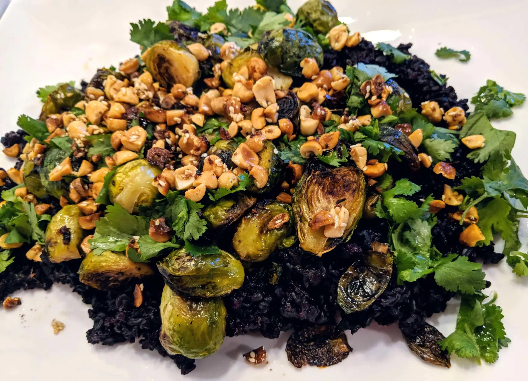 Black Miso Sticky Rice with Sprouts and Peanuts main image